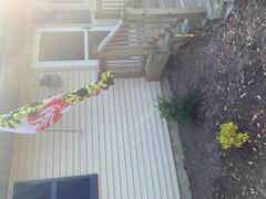 Route One Apparel Crabby Susan Maryland / Flag Review