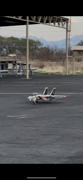 Motion RC Europe Freewing F-14 Tomcat Twin 64mm EDF Jet - PNP Review