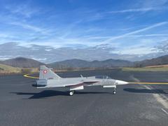 Motion RC Europe Freewing JAS-39 Gripen Grey 80mm EDF Jet - PNP Review
