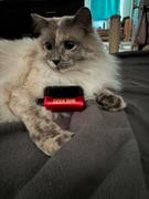 Vape Society Supply [5-Pack] Geek Bar Pulse X 25K Disposable Bundle Review