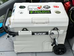 GoSun Chillest - Portable Electric Cooler/Freezer Review