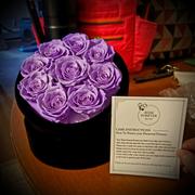 Rose Forever  Lavender Roses velvet 16 Review