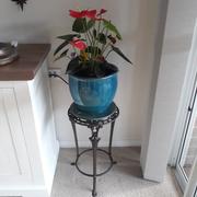 Notbrand Cast Iron Plant Stand - Extra Large Review