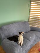 Eurofunda Microfibra - Funda Berger 3 cuerpos Blue Review