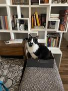 Ambient Lounge Chile Twin Ottoman - Black Sapphire Review