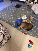 CordaRoy's Bean Bag - Queen - Faux Fur Review