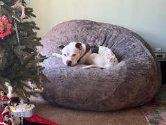 CordaRoy's Bean Bag - Queen - Faux Fur Review