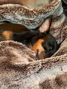 CordaRoy's Pouf Footstool - Chinchilla Review