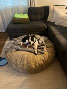 CordaRoy's Dog Bed Cover - 50 Terry Corduroy (Waterproof) Review