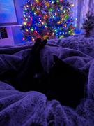 CordaRoy's XL Chinchilla Throw Blanket Review