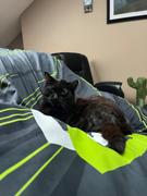 CordaRoy's OpTic Gaming Bean Bag by CordaRoy’s Review