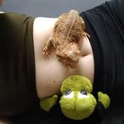 Psylo Fashion Skirted Shorts Review