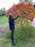 Psylo Fashion Livia Dress Review