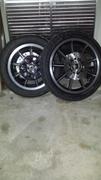 Lowbrow Customs #8758-10 Disc Brake Rotor to Hub Screw Kit 1978-1982 Harley-Davidson FX/XL - Chrome Plated Review