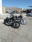 Lowbrow Customs Sportsters Rule Patch Review