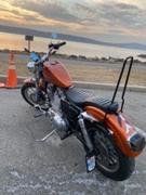 Lowbrow Customs The Traveler Bolt On Sissy Bar - 1994-2003 Sportsters Review