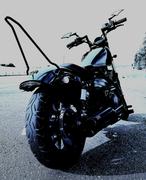 Lowbrow Customs Tapered Sissy Bar or Strut Rod Machined Ends Review