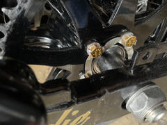 Lowbrow Customs Locking Tab Washer for Harley-Davidson Rear Wheel Pulley / Sprocket - Tumbled Stainless Review