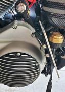 Lowbrow Customs Primary Mount License Plate Bracket - 2004-Up Harley-Davidson Sportsters - Vertical or Horizontal Review