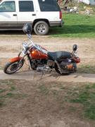 Lowbrow Customs Chrome Rear Brake Light Switch 1967-1974 Harley-Davidson Sportster XL Review
