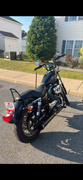 Lowbrow Customs Short 13 Bolt On Sissy Bar - Black - 2004-2020 Harley-Davidson Sportster XL Review