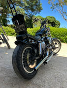 Lowbrow Customs BNM Bolt On Sissy Bar For Rogue Fender - 1958-1984 Harley-Davidson Panhead/Shovelhead Review