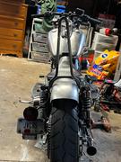 Lowbrow Customs BNM Bolt On Sissy Bar For Rogue Fender - 1958-1984 Harley-Davidson Panhead/Shovelhead Review