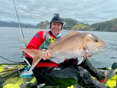 BerleyPro Catch Black Label Livies Jerkshad Review