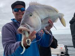 BerleyPro Catch Black Label Livies Curly Tails Review