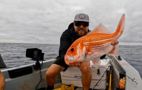 BerleyPro The Side Bro – Tool and Tackle Storage Solution Review