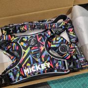 Boss & Olly Active Harness - Aztec Rainbow Review