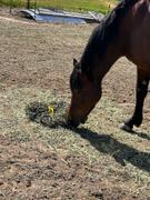 Texas Haynet Small Hay Net Review