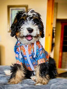 Subliminator Athletic Dog Zip-Up Hoodie - AOP Review