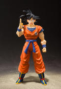 USA Gundam Store Dragon Ball Z S.H.Figuarts Goku (A Saiyan Raised On Earth) (Reissue) Review