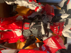 USA Gundam Store MG 1/100 Gundam Astray Turn Red Review