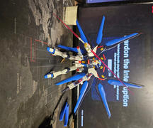 USA Gundam Store HGCE 1/144 #201 Strike Freedom Gundam Review
