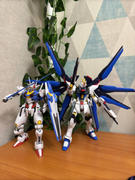 USA Gundam Store HGCE 1/144 #201 Strike Freedom Gundam Review