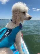 GILI Sports Dog Life Jacket Flotation Device Review