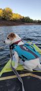 GILI Sports Dog Life Jacket Flotation Device Review