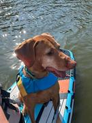 GILI Sports 11' KOMODO Inflatable Paddle Board/Kayak: Dog Rescue Donation Bundle Review