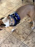 Joyride Harness Heritage Plaid Joyride Harness 2.0 Review