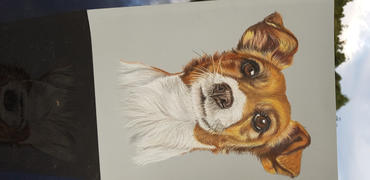 Ann Kullberg Terrier: In-Depth Tutorial Review