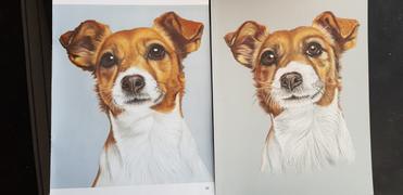 Ann Kullberg Terrier: In-Depth Tutorial Review
