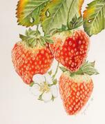 Ann Kullberg Strawberries In-Depth Tutorial Review
