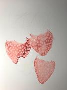 Ann Kullberg Strawberries In-Depth Tutorial Review