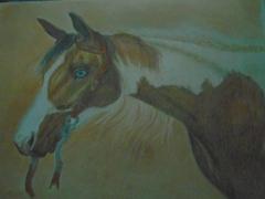 Ann Kullberg Painted Pony: In-Depth Colored Pencil Tutorial Review