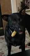 Best Bully Sticks XL Himalayan Golden Yak Cheese Odor-Free (3 Pack) Review
