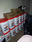 Emergency Essentials - Be Prepared 6 Month Emergency Food Kit - Emergency Essentials Review
