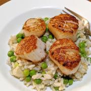 Greenfish Large Scallops | Frozen Box | Wild caught Review