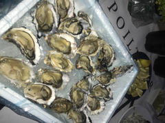 Greenfish Medium Fresh Oysters | Live Box | Farmed on the West Coast | x12 Review